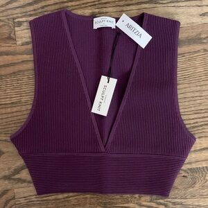 Aritzia Babaton Deep V Sculpt Knit Purple Crop Top